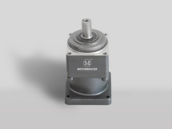 MVS80